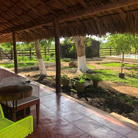 Hotel Amor Panaba Progreso  Eksteriør bilde